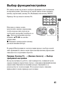 Страница 41