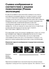 Страница 61
