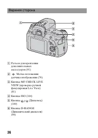 Страница 36