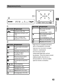 Страница 43