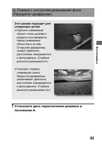 Страница 63