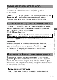 Страница 101
