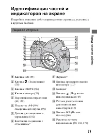 Страница 37