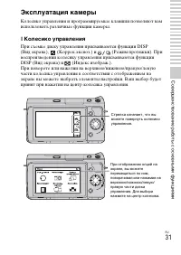 Страница 31