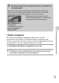Страница 43