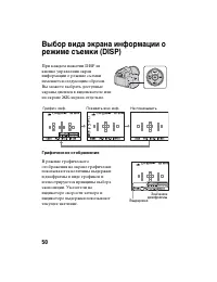 Страница 50