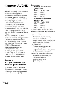 Страница 246