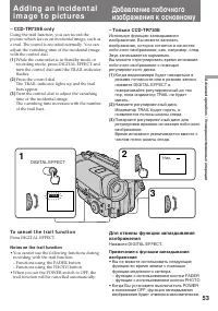 Страница 53