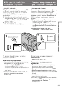 Страница 55
