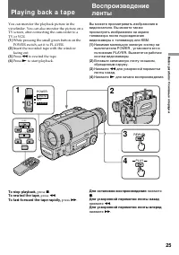 Страница 25