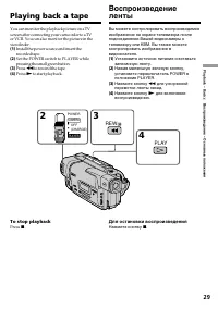 Страница 29