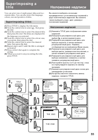 Страница 55
