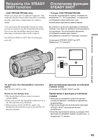 Страница 43