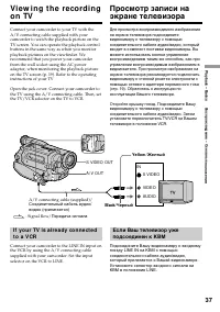 Страница 37