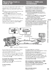 Страница 53