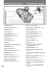 Страница 120
