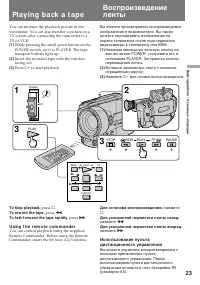 Страница 23