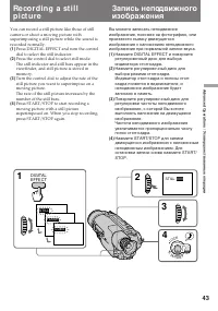 Страница 43