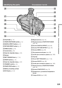 Страница 119