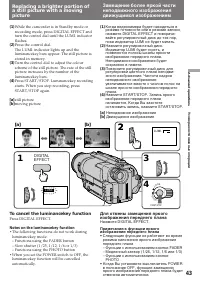 Страница 43