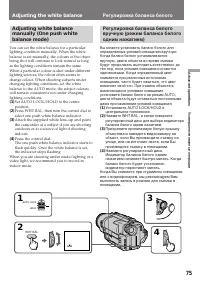 Страница 75