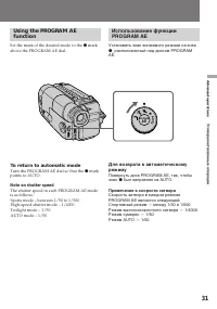 Страница 31