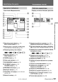 Страница 101
