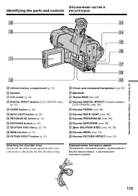 Страница 115