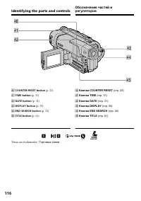 Страница 116