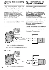 Страница 38