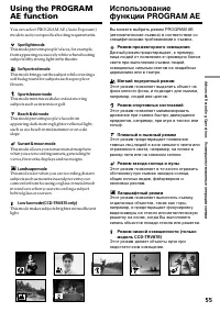 Страница 55