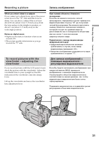 Страница 31