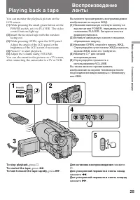 Страница 25