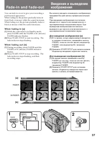 Страница 37