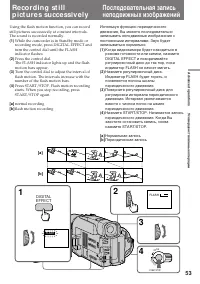 Страница 53