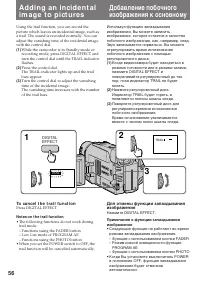 Страница 56