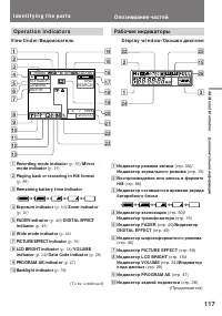 Страница 117