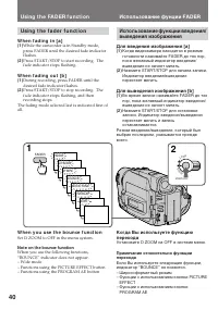 Страница 40