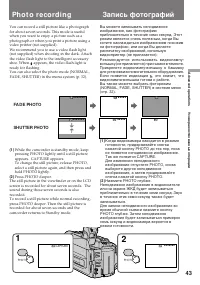 Страница 43