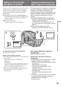 Страница 55