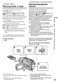 Страница 43