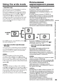Страница 55
