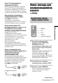 Страница 43