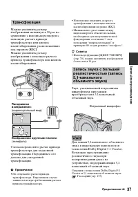 Страница 37
