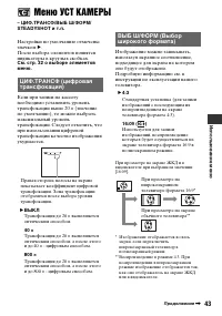 Страница 43