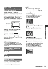 Страница 31