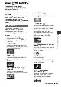 Страница 37