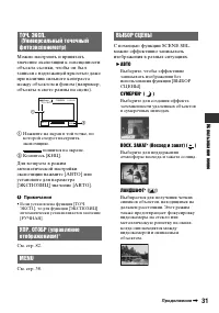 Страница 31