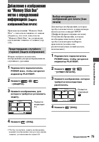 Страница 195