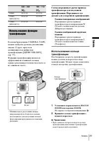 Страница 29